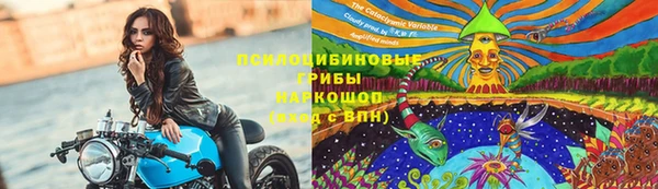 а пвп мука Богданович