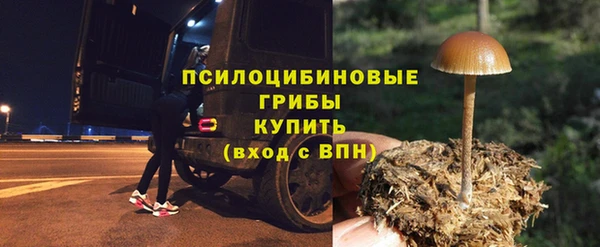 гашик Богородицк
